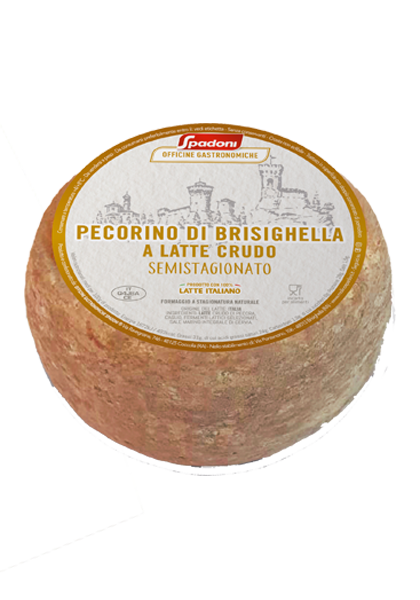 Medium-mature Brisighella Pecorino with Raw Milk